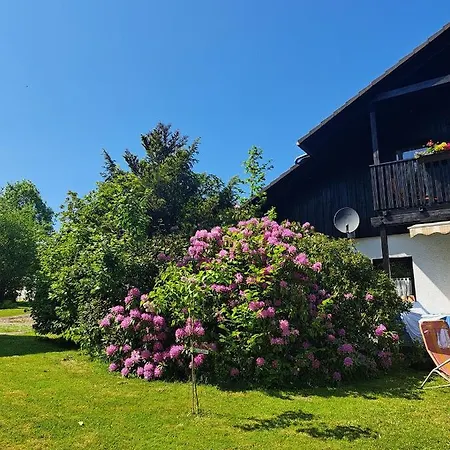 Martin Apartment Thalfang