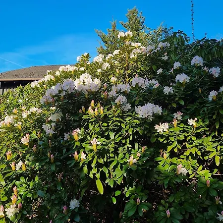 Apartment Martin Thalfang