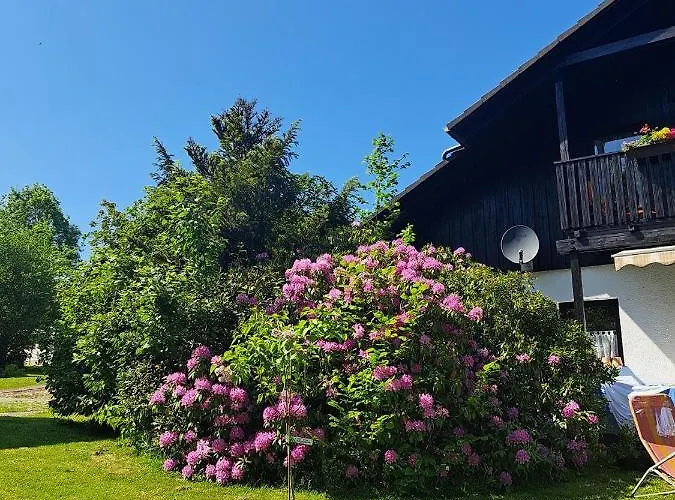 Martin 公寓 塔尔方