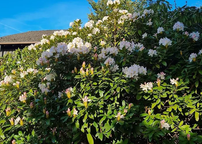 公寓 Martin 塔尔方